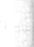 L_W15b2711 A12w0060 N216 khd sectionpencil A